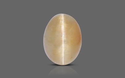 African Cat's Eye - 3.15 Carat Fine Quality CE-10579