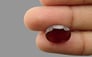 African Hessonite Garnet - 7.85 Carat Prime Quality HG-8013