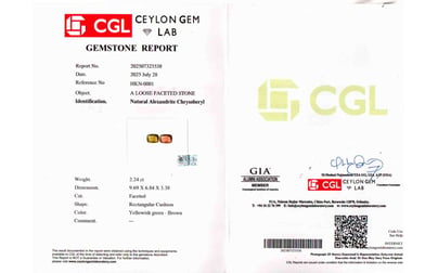 alx-0006-certificate-alx0006-61176