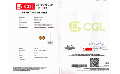 alx-0009-certificate-alx0009-29504