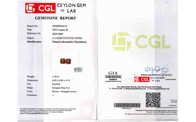 alx-0019-certificate-alx0019-92382