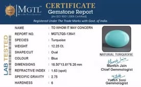 Arizona Turquoise - 12.25 Carat Rare Quality TQS-13641