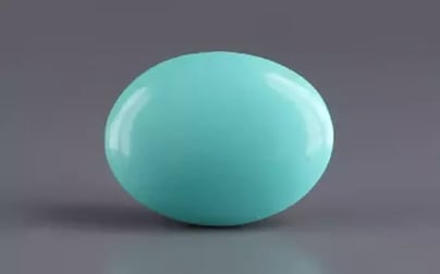 Arizona Turquoise - 9.75 Carat Limited Quality TQS-13656