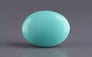 Arizona Turquoise - 9.75 Carat Limited Quality TQS-13656