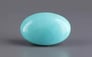 Arizona Turquoise - 9.75 Carat Limited Quality TQS-13687