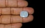 Australian Opal - 11.74 Carat Limited Quality OPL-11532
