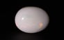 Australian Opal - 12.84 Carat Limited Quality OPL-11531