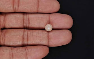 Basra Pearl - 2.46 Carat Rare Quality SSP-9091