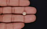 Basra Pearl - 2.46 Carat Rare Quality SSP-9091