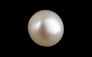 Basra Pearl - 2.46 Carat Rare Quality SSP-9091