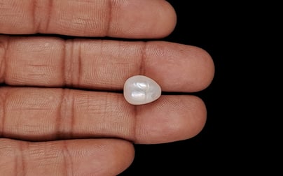 Basra Pearl - 7.85 Carat Limited Quality SSP-8954