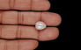 Basra Pearl - 7.85 Carat Limited Quality SSP-8954