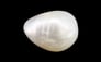 Basra Pearl - 7.85 Carat Limited Quality SSP-8954