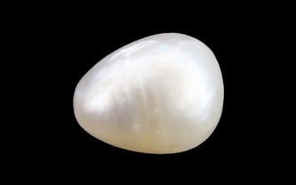 Basra Pearl - 7.85 Carat Limited Quality SSP-8954