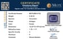 bbs-9732-certificate-mgtlbbs-9732-44884