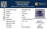 bbs-9738-certificate-mgtlbbs-9738-46390