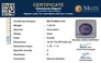 bbs-9742-certificate-mgtlbbs-9742-73233