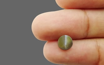 Brazilian Cat's Eye - 2.66 Carat Fine Quality CE-10526