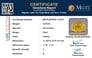 bysgf-12134-certificate-mgtlbysgf-12134-99579