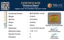 bysgf-12139-certificate-mgtlbysgf-12139-6017