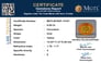 bysgf-12167-certificate-mgtlbysgf-12167-46604