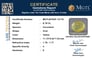 bysgf-12176-certificate-mgtlbysgf-12176-1854