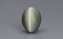 Cat's Eye - 10.71 Carat Prime Quality CE-10684