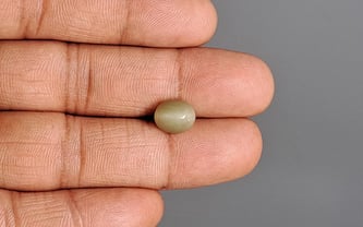 Cat's Eye - 2.53 Carat Prime Quality CE-10764