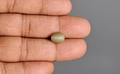 Cat's Eye - 2.53 Carat Prime Quality CE-10764