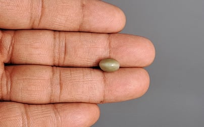 Cat's Eye - 2.53 Carat Prime Quality CE-10770