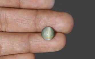 Cat's Eye - 2.72 Carat Fine Quality CE-10593