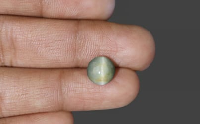 Cat's Eye - 2.72 Carat Fine Quality CE-10593