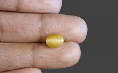 Cat's Eye - 2.93 Carat Fine Quality CE-10584