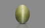 Cat's Eye - 3.19 Carat Prime Quality CE-10739