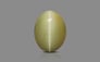 Cat's Eye - 3.65 Carat Prime Quality CE-10776