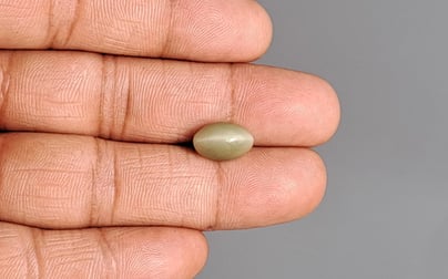 Cat's Eye - 3.72 Carat Prime Quality CE-10750