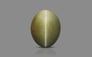 Cat's Eye - 4.7 Carat Prime Quality CE-10741