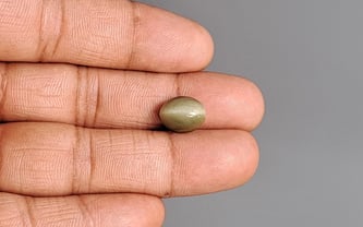 Cat's Eye - 5.69 Carat Prime Quality CE-10745