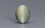 Cat's Eye - 6.16 Carat Prime Quality CE-10682