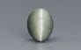 Cat's Eye - 6.61 Carat Prime Quality CE-10673