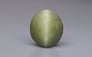 Cat's Eye - 6.72 Carat Prime Quality CE-10725