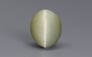 Cat's Eye - 6.74 Carat Prime Quality CE-10690