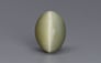 Cat's Eye - 6.94 Carat Prime Quality CE-10679