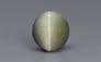 Cat's Eye - 7.04 Carat Prime Quality CE-10689