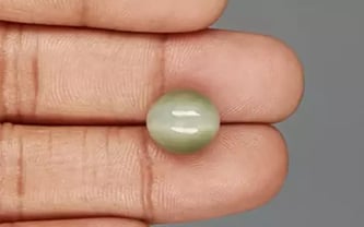 Cat's Eye - 7.2 Carat Prime Quality CE-10692