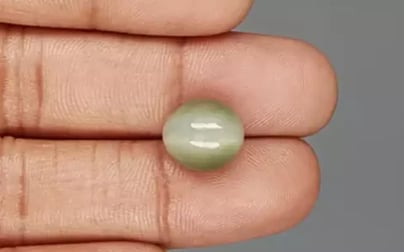 Cat's Eye - 7.2 Carat Prime Quality CE-10692