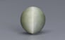 Cat's Eye - 7.2 Carat Prime Quality CE-10692