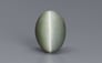 Cat's Eye - 7.23 Carat Prime Quality CE-10677