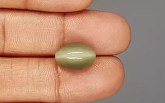 Cat's Eye - 7.37 Carat Prime Quality CE-10667
