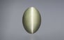Cat's Eye - 7.37 Carat Prime Quality CE-10667